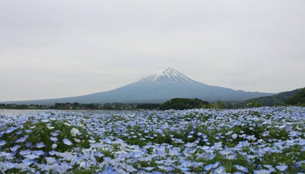 pexels-bruce-lin-583560350-32497959 (1)