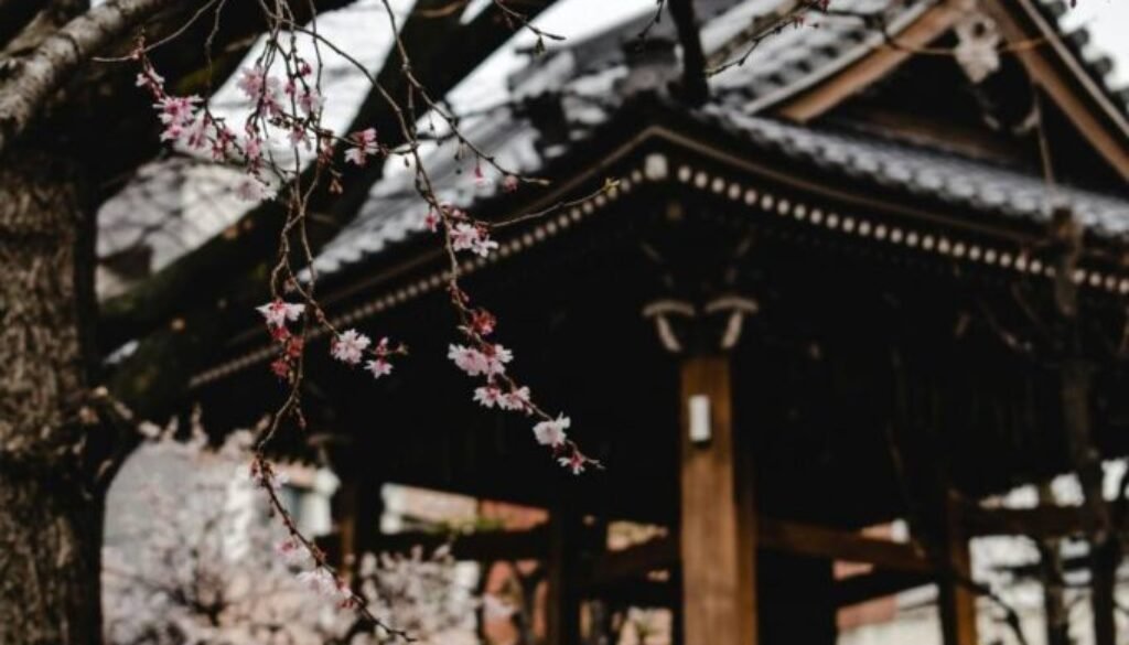 pexels-eva-bronzini-5765840 (1)