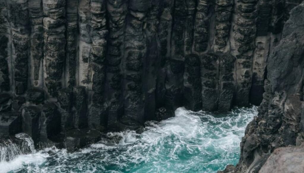 pexels-jakobjin-28525305 (1)