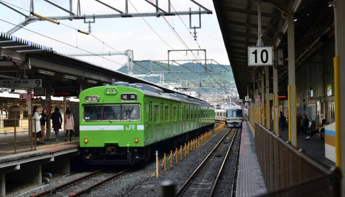 pexels-jondiscipulo-32211624 (1)