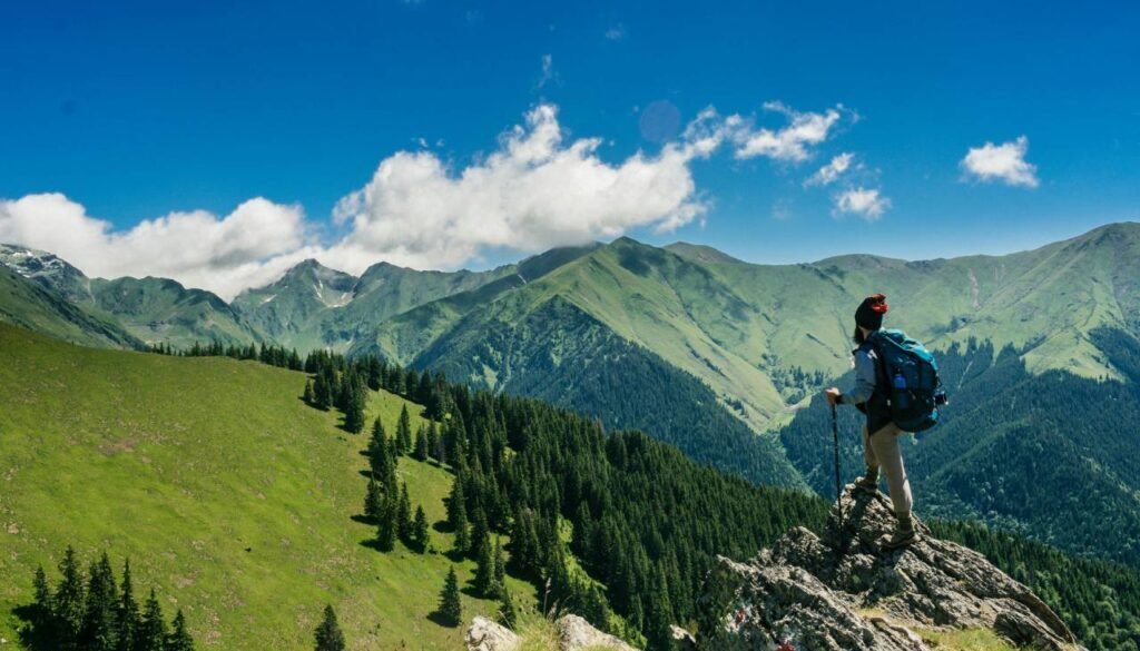 pexels-andreimike-1271619 (1)